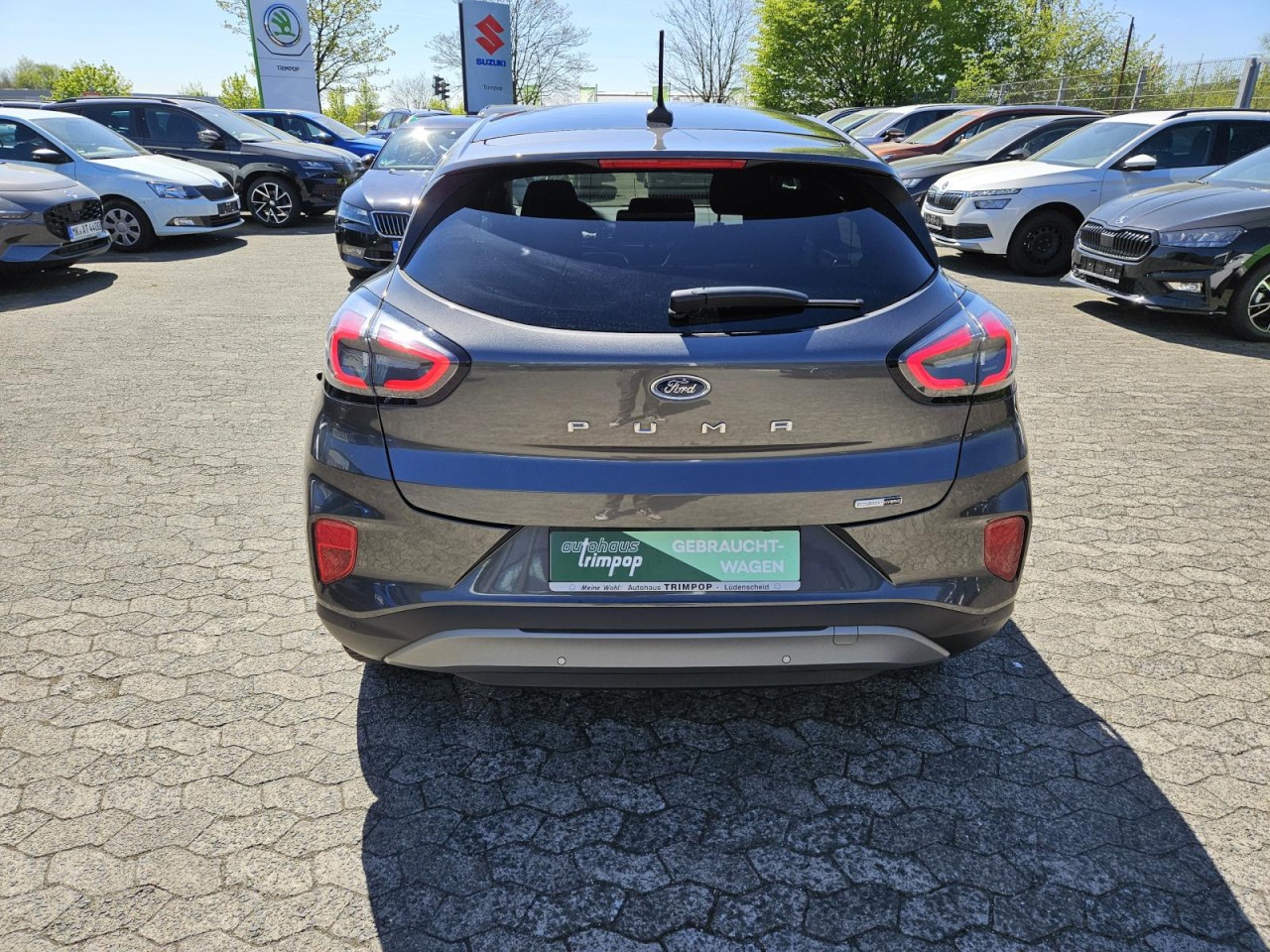 Puma 1.0 Mild-Hybrid Titanium AHK NAV PANO LED - Bild 2
