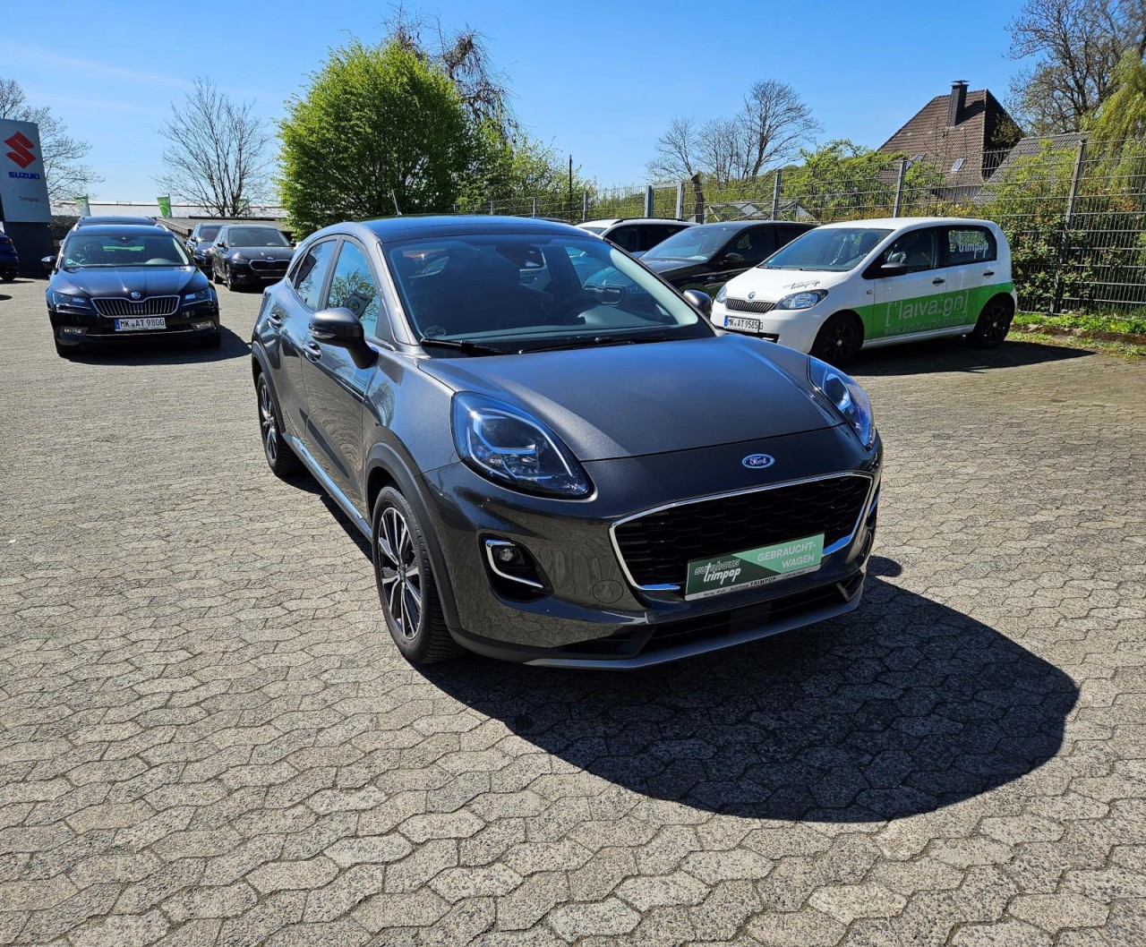 Puma 1.0 Mild-Hybrid Titanium AHK NAV PANO LED - Bild 3