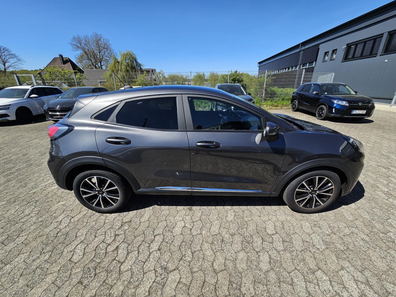 Puma 1.0 Mild-Hybrid Titanium AHK NAV PANO LED - Bild 31