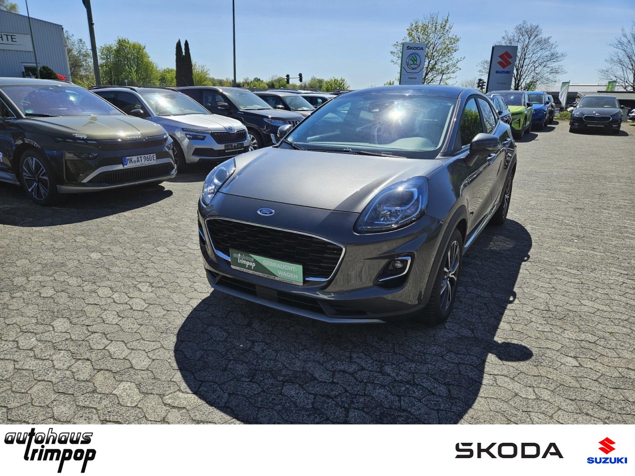 Puma 1.0 Mild-Hybrid Titanium AHK NAV PANO LED