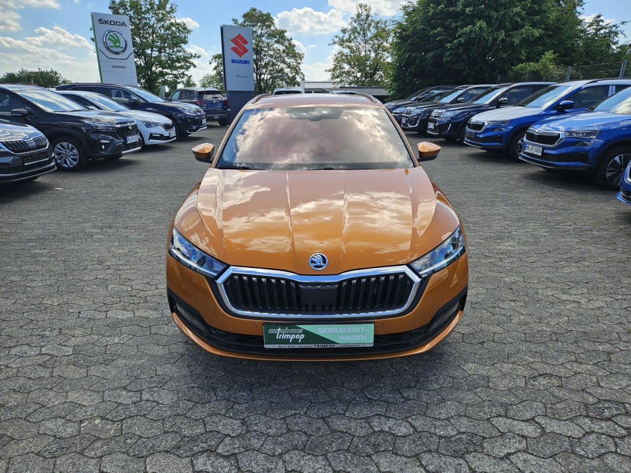 Octavia Combi 1.5 TSI DSG Ambition AHK LED KLIMA - Bild 19