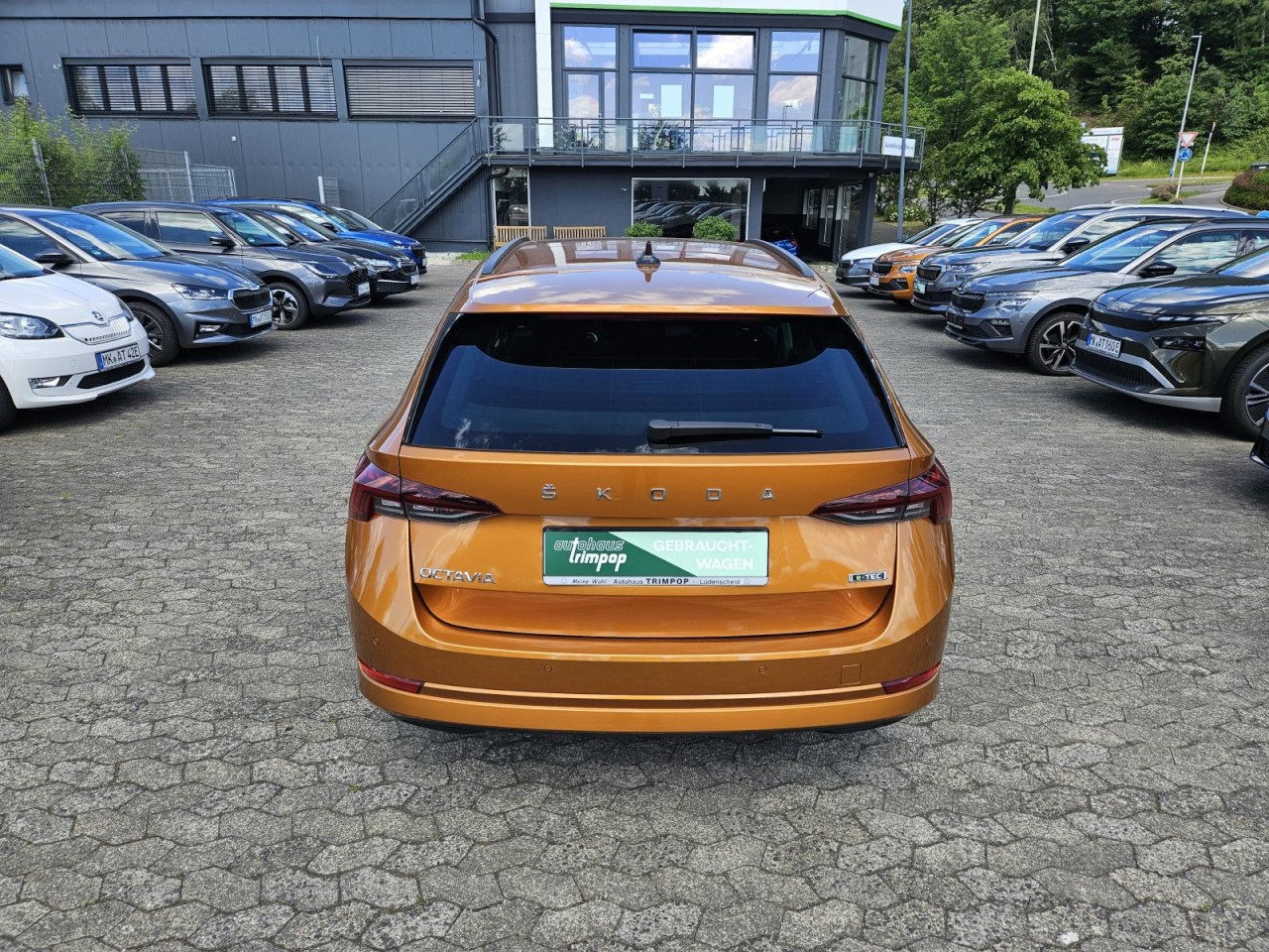 Octavia Combi 1.5 TSI DSG Ambition AHK LED KLIMA - Bild 2