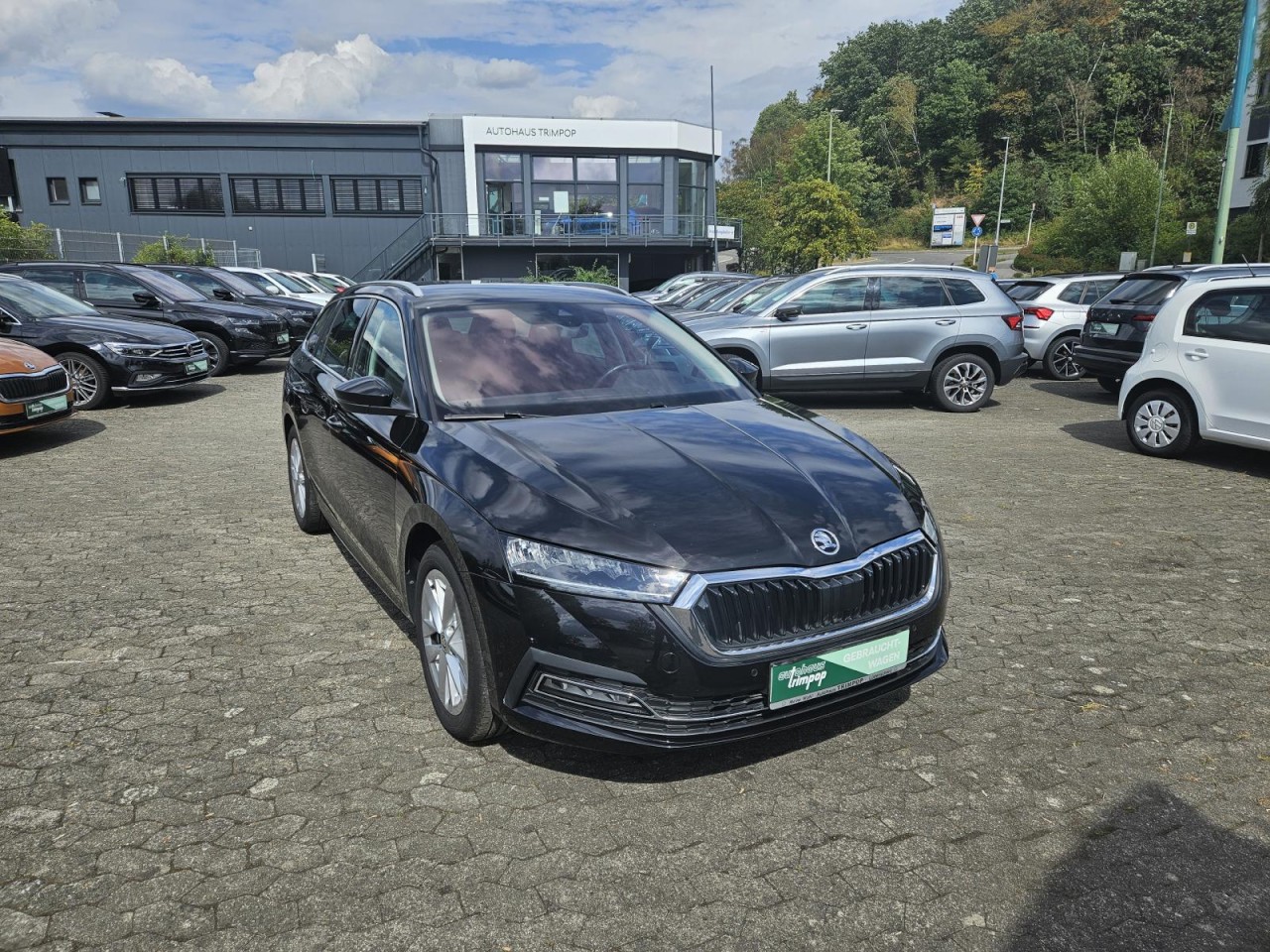 Octavia Combi 2.0 TSI Style 4×4 AHK KLIMA NAV - Bild 3