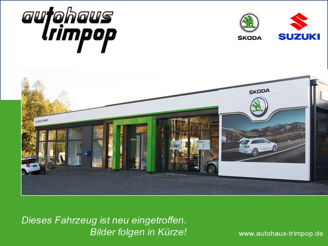 e Vitara EV AT Comfort+ 61kWH PANO LED KAM KLIMA