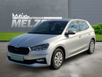Fabia SELECTION 1.0 TSI DSG WSS BEHEIZT+PDC+SHZ