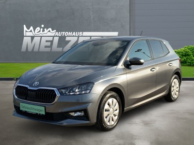 Fabia SELECTION 1.0 TSI WSS BEHEIZT+SHZ+PDC+GRA
