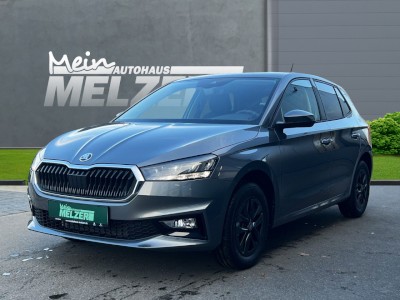 Fabia SELECTION 1.0 TSI DSG+WSS BEHEIZT+PDC+SHZ